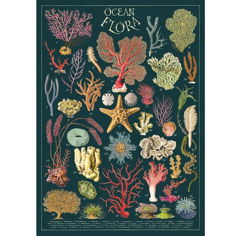 Ocean Flora Poster
