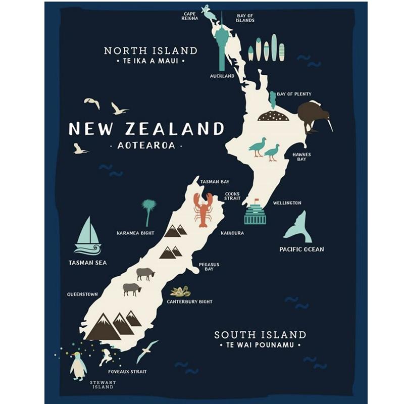 Map Of NZ Lens Cloth