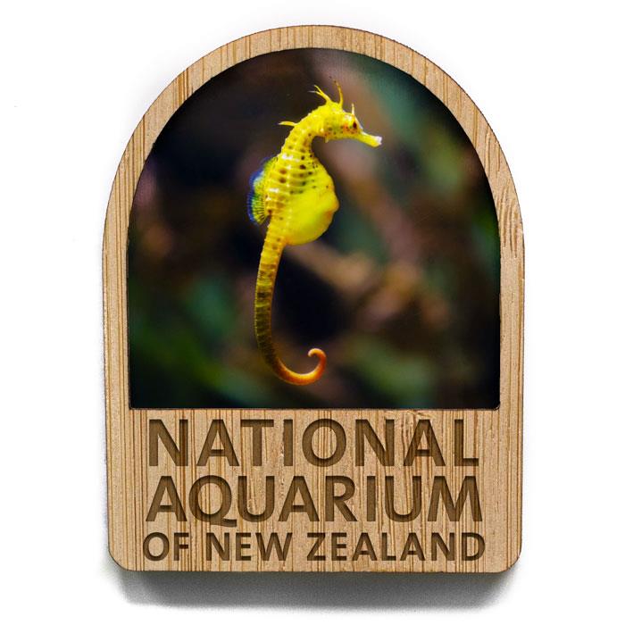 Seahorse Magnet