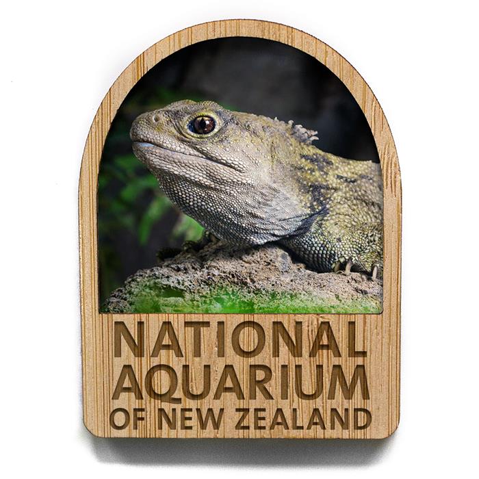 Tuatara Magnet