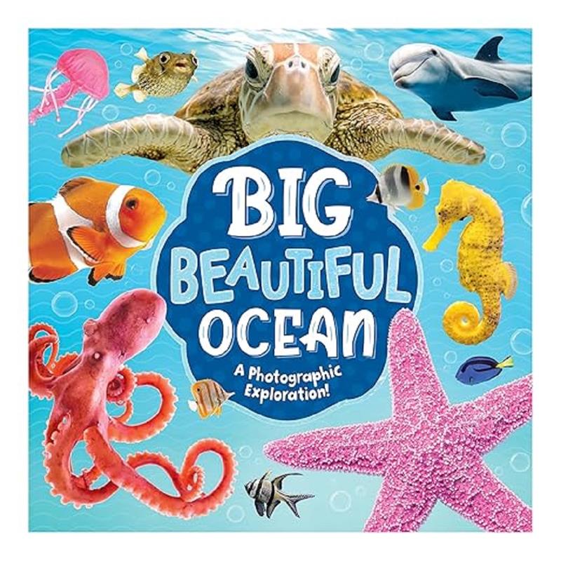 Big Beautiful Ocean - A Photographic Exploration!