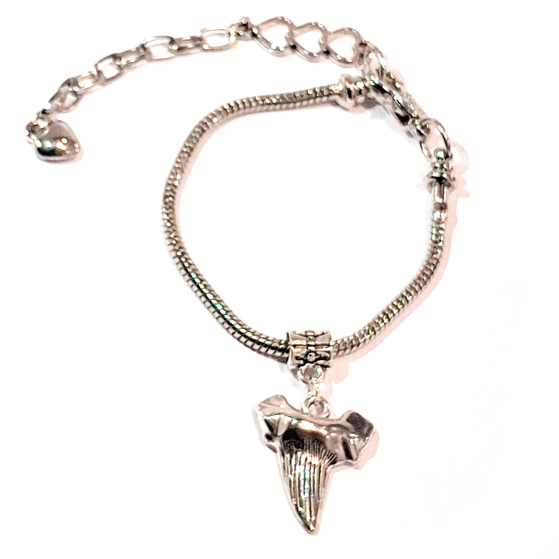 Megaladon Tooth Charm Bracelet