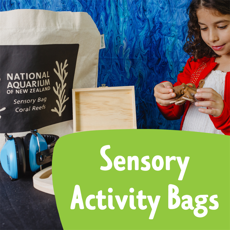 Sensory Bag Hire