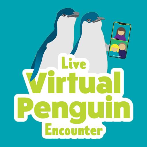 Virtual Penguin Encounter