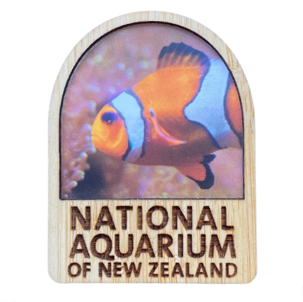 National Aquarium Magnet - Clownfish