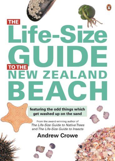 Life Size Size Guide to the NZ Beach