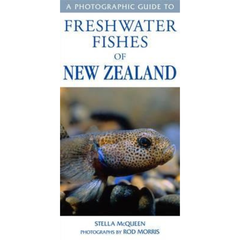A Photographic Guide to Freshwater Fish of New Zealand