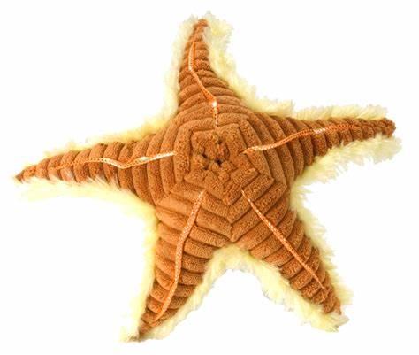 Mini Starfish Toy