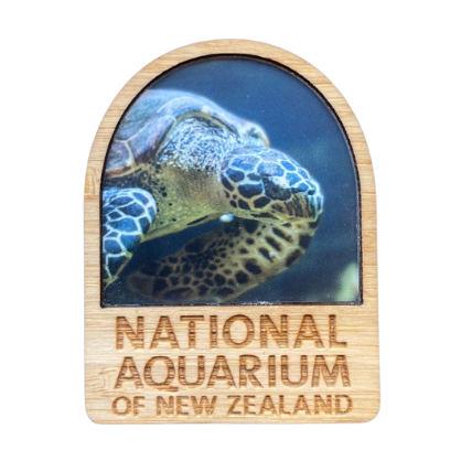 National Aquarium Magnet - Turtle