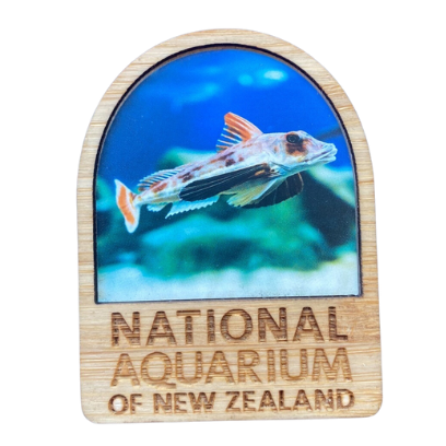 National Aquarium Magnet - Gurnard