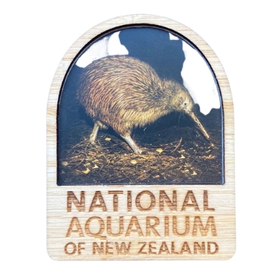National Aquarium Magnet - Kiwi
