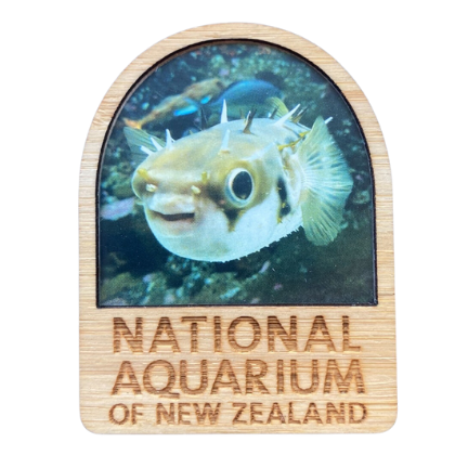 National Aquarium Magnet- Pufferfish