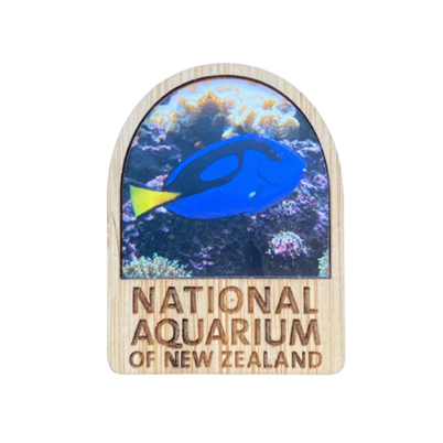 National Aquarium Magnet - Blue Tang