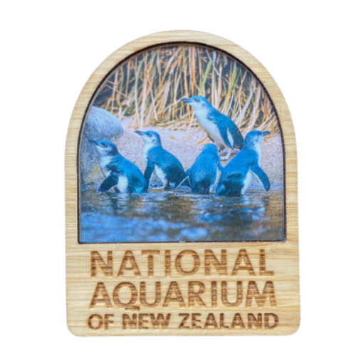 National Aquarium Magnet - Penguin Colony
