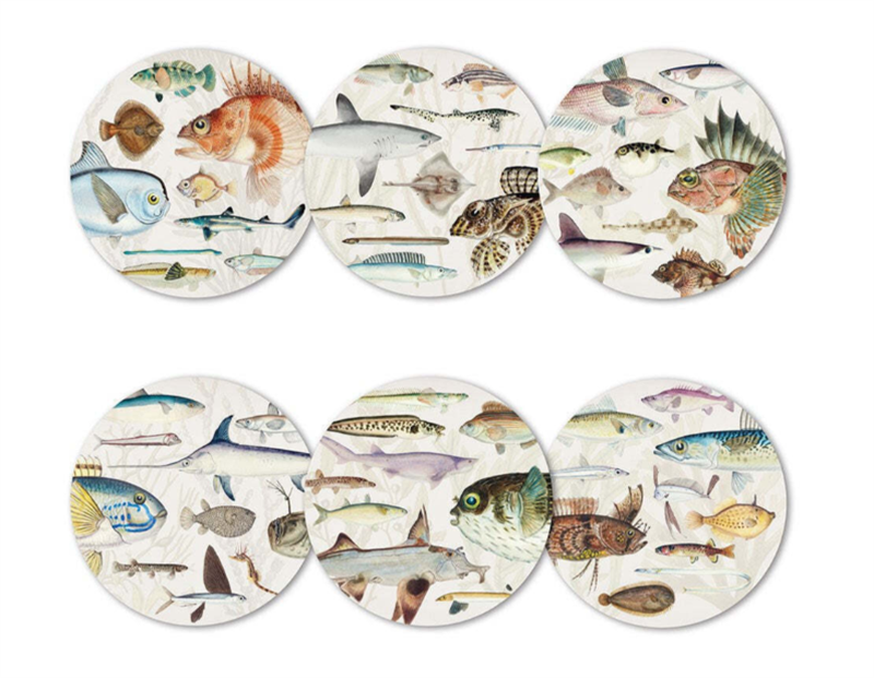 Fishes of NZ Coaster Set