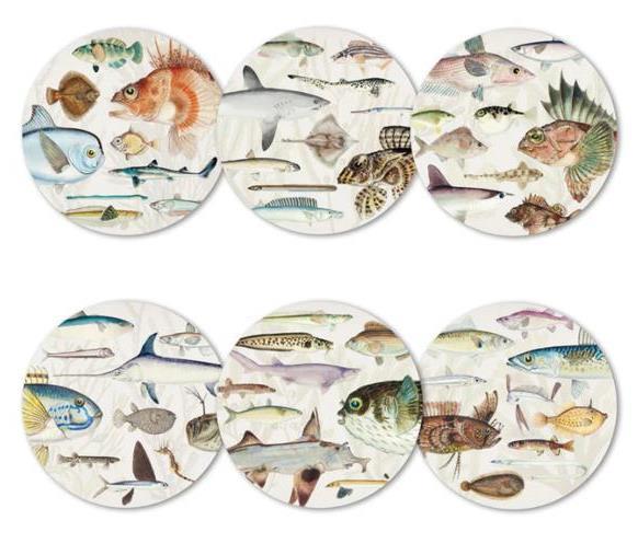 Fishes of NZ Placemat Set