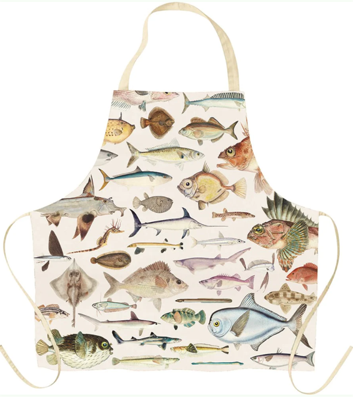 Fishes of NZ Apron