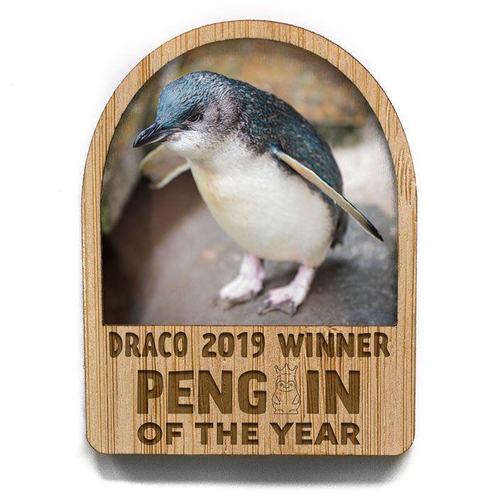 Penguin of the Year Magnet - Draco 2019