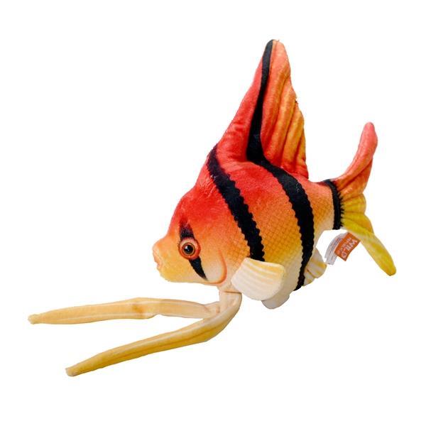 Angel Fish Toy