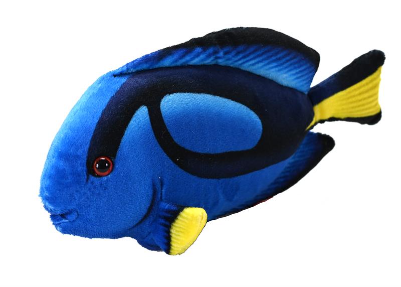 Surgeon Fish Toy