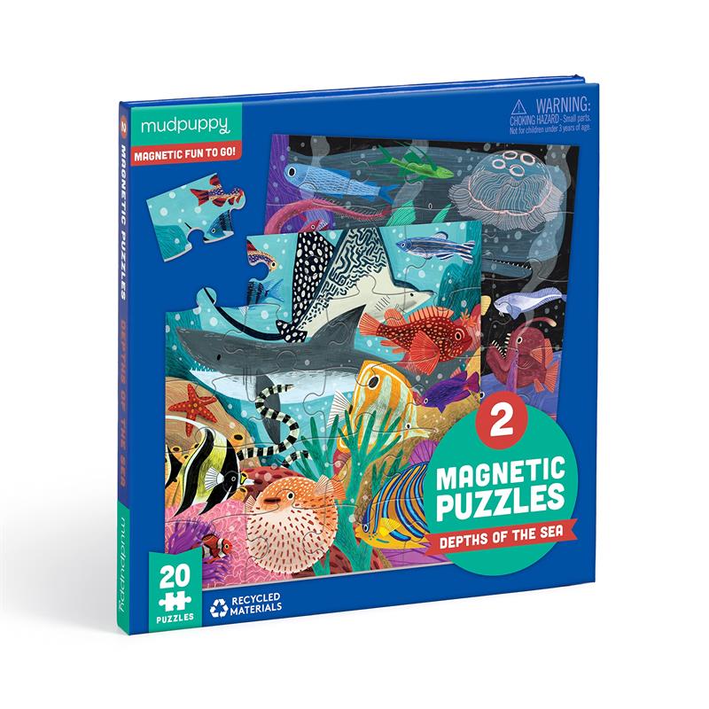 Depths of the Sea Magnetic Puzzle