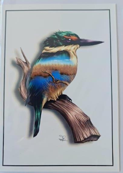 Greeting Card Kingfisher