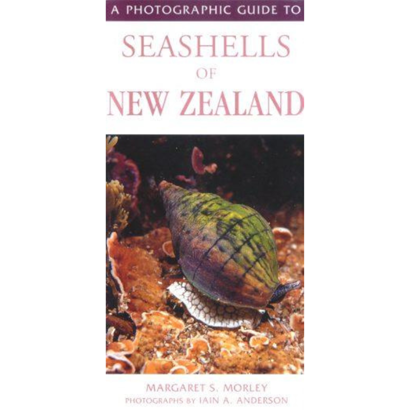 A Photographic Guide to Seashells of New Zealand