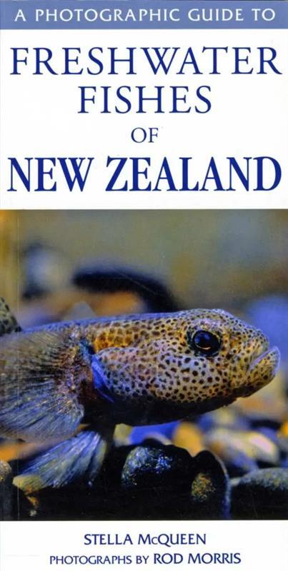 A Photographic Guide to Freshwater Fish of New Zealand