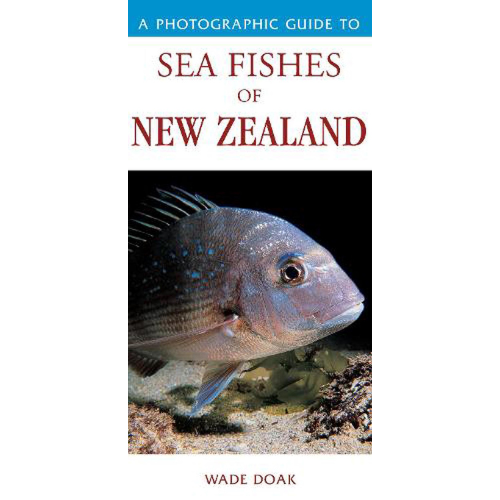 A Photographic Guide to Sea Fishes of New Zealand