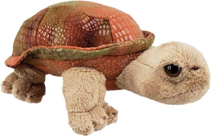 Tortoise Toy