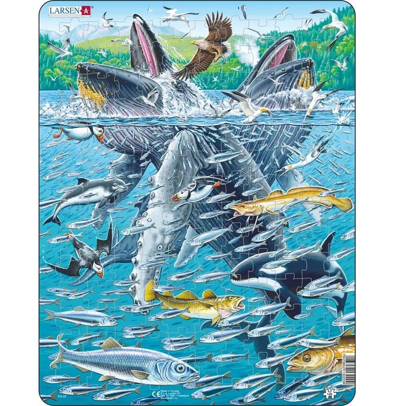 Humpback Whales Puzzle