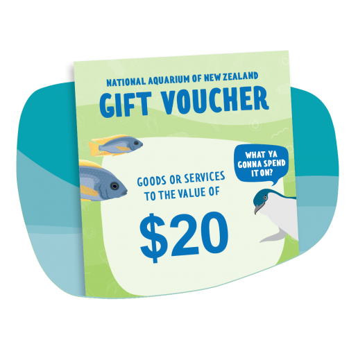 $20 Gift Voucher