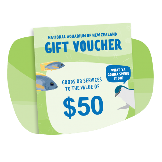 $50 Gift Voucher