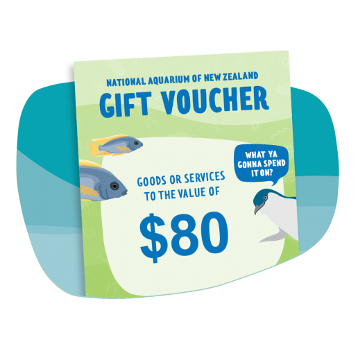 $80 Gift Voucher