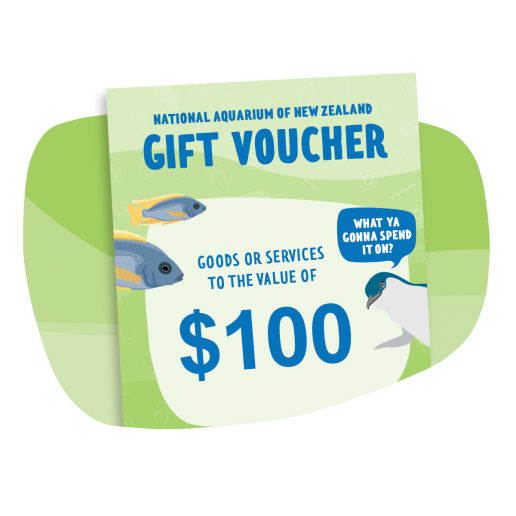 $100 Gift Voucher