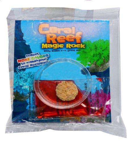 Coral Reef Magic Rock