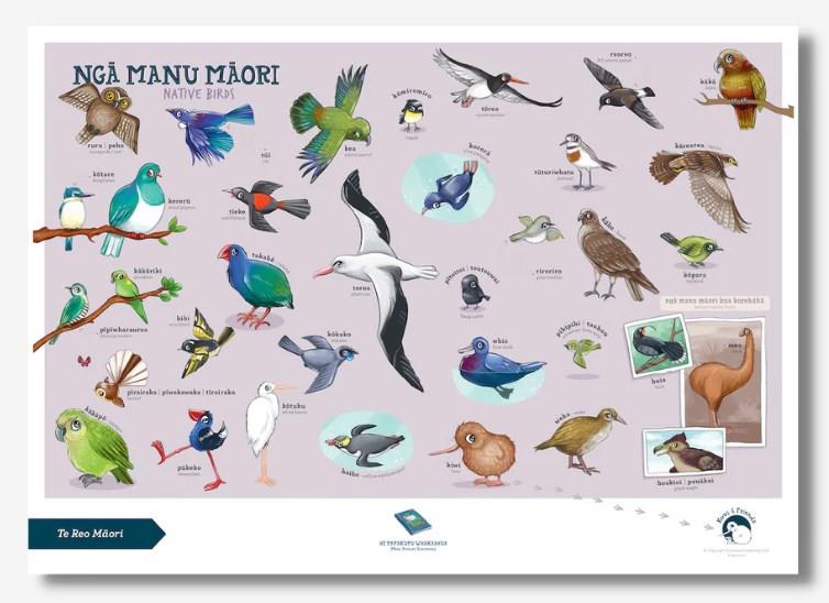 Native Birds A3 Poster