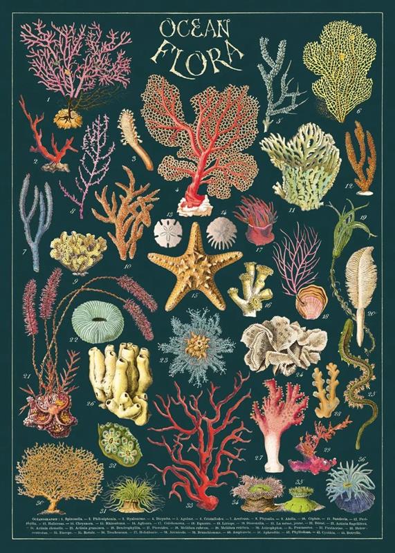 Ocean Flora Poster