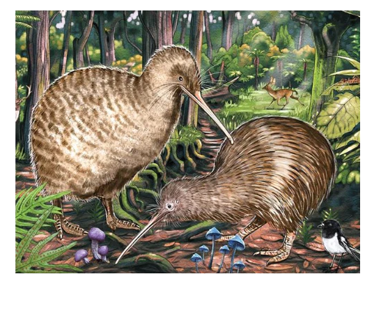 Keep Kiwi Wild 300pc Puzzle