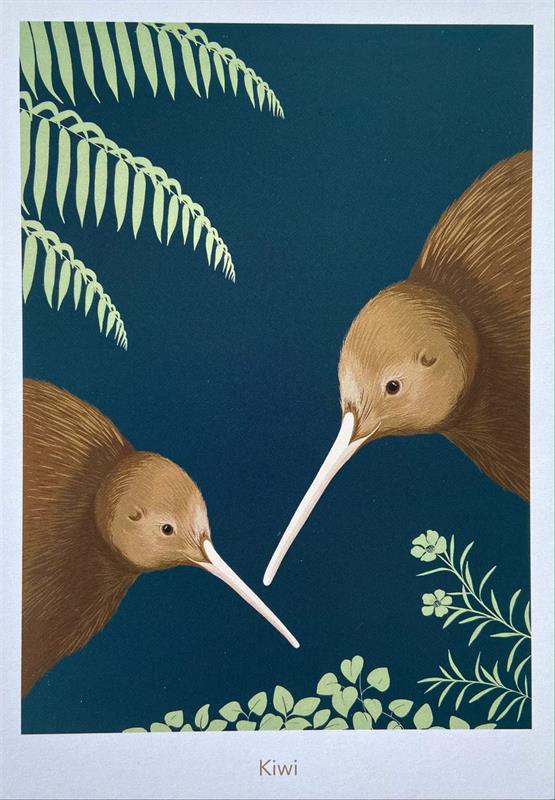 Kiwi Pair Postcard