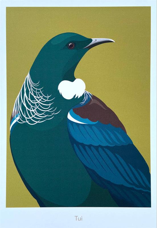 Tui Postcard