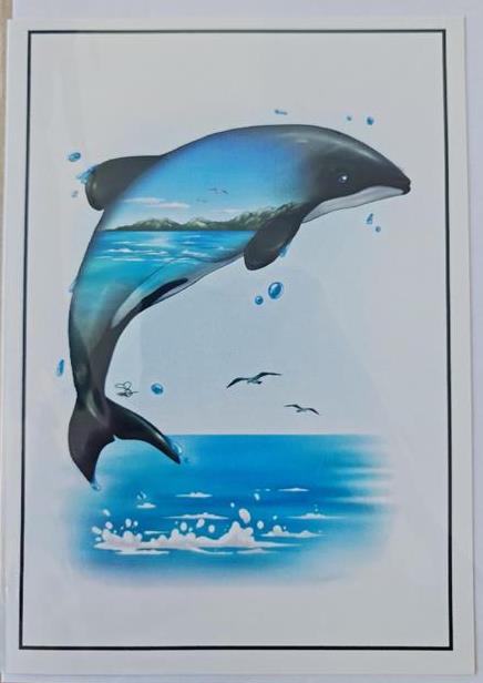 Greeting Card Dolphin