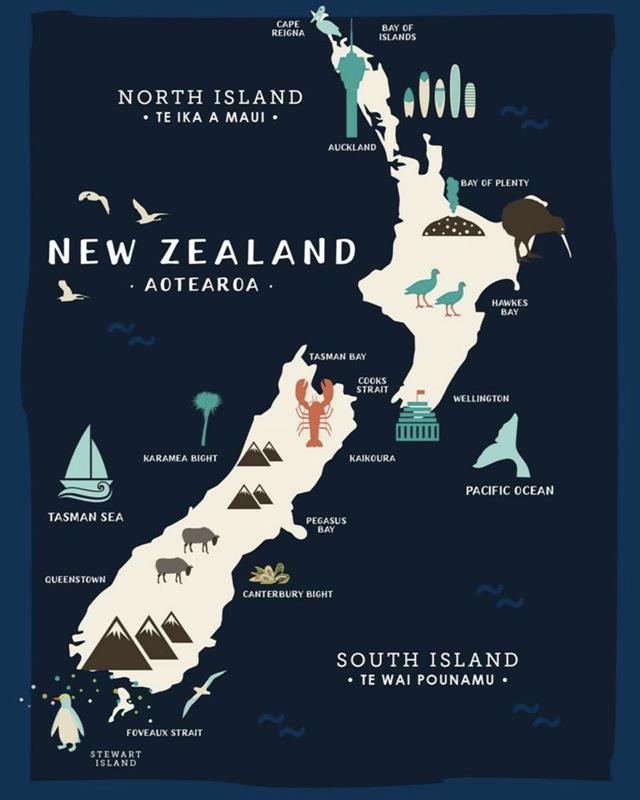 Map Of NZ Lens Cloth