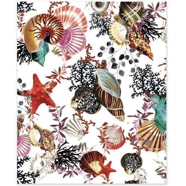 Seashells Greeting Card