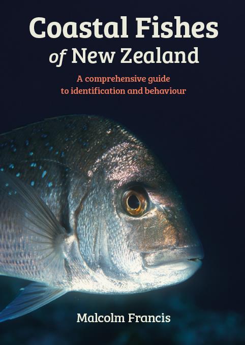 Coastal Fishes of New Zealand