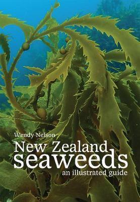 New Zealand Seaweeds Guide