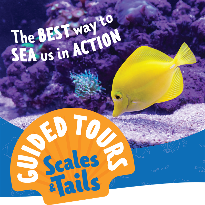 Scales and Tails Feeding Tour